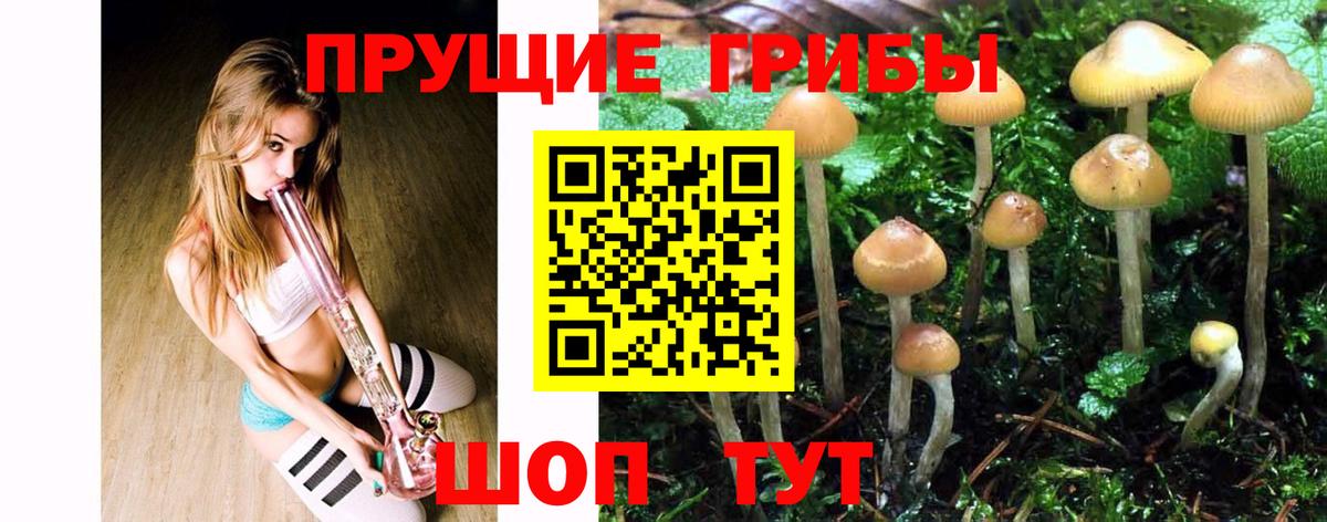 Псилоцибиновые грибы Cubensis  Галлюциногенные грибы мухоморы  Орехово-Зуево  наркошоп  Вход с VPN 