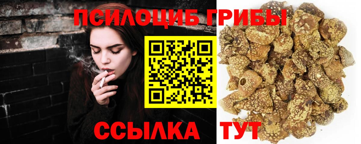 Галлюциногенные грибы Cubensis Орехово-Зуево